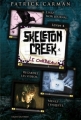 Couverture Skeleton creek, tome 4 : Le Corbeau Editions Bayard (Jeunesse) 2011