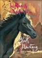 Couverture Le Ranch de la pleine lune, tome 01 : Black Mustang Editions Zulma 2007