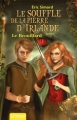 Couverture Le Souffle de la Pierre d'Irlande, tome 5 : Le Brouillard Editions Magnard (Jeunesse) 2012