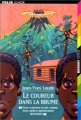 Couverture Le Coureur dans la brume Editions Folio  (Junior) 1997