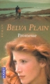 Couverture Promesse Editions Pocket 1997