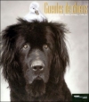 Couverture Gueules de chien Editions Hors collection 2006