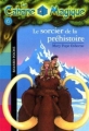 Couverture Le sorcier de la préhistoire Editions Bayard (Poche) 2003