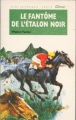 Couverture L'étalon noir, tome 16 : Le fantôme de l'étalon noir Editions Hachette (Bibliothèque Verte) 1992