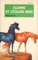 Couverture L'étalon noir, tome 14 : Flamme et l'étalon Noir Editions Hachette (Bibliothèque Verte) 1993