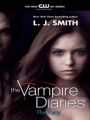 Couverture Vampires, tome 3 : La Furie Editions HarperCollins 2010
