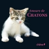 Couverture Amours de Chatons Editions du Chêne 2011