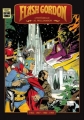 Couverture Flash Gordon :  L'intégrale Al Williamson Editions Neofelis (Culture Comics) 2012