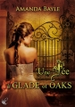 Couverture Une fée à Glade of Oaks Editions Cyplog (Maïa) 2013