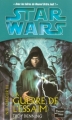 Couverture Star Wars (Légendes) : Nid obscur, tome 3 : La guerre de l'essaim Editions Fleuve 2006