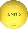 Couverture Tennis Editions Gründ 2008