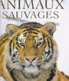 Couverture Panorama des animaux sauvages Editions Parragon 2004