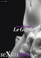 Couverture Le Gigolo Editions Numeriklivres (SeXtasy) 2012