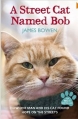 Couverture Un chat des rues nommé Bob Editions Hodder 2012